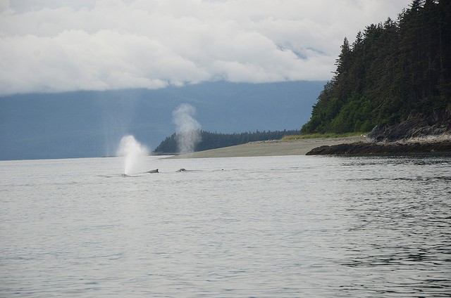 Image for Alaska 2019